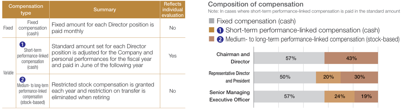 Types, summary, and composition of Director remuneration