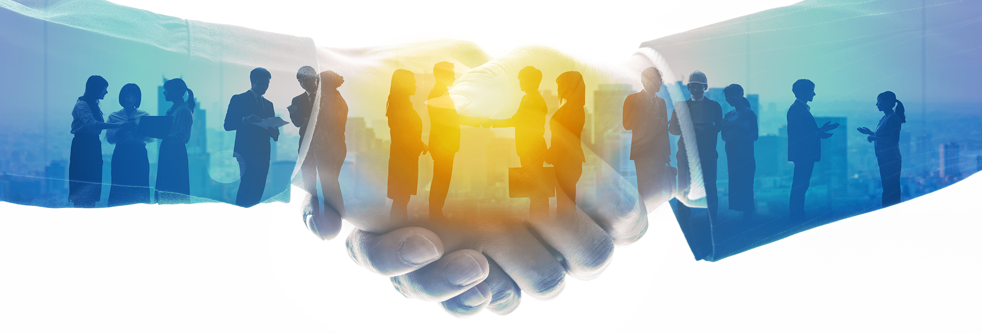 AMOサービス (SAPシステムなどの保守・運用サービス)