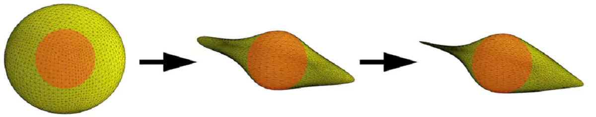 2Dと3Dの空力形状最適化問題における実験的検証により、従来の方法が失敗した大規模なパラメータ空間において最適化が可能である