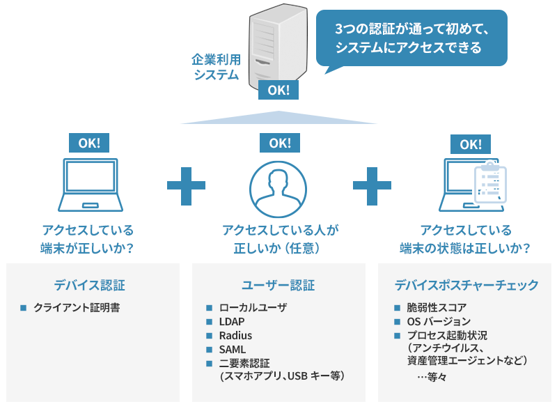 進化イメージ