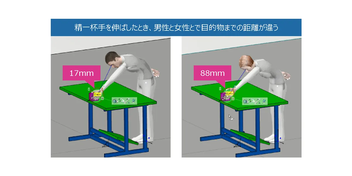 <男性と女性のデジタルマネキンによるシミュレーション結果の差>