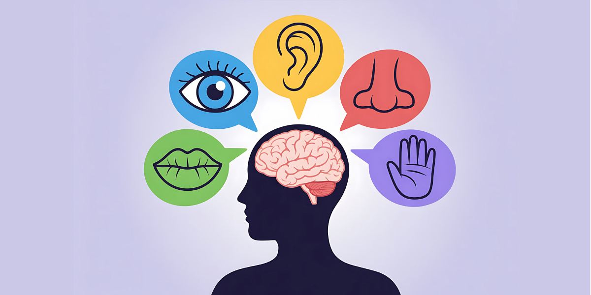 「五感・脳・身体」で読み解く3つの構成要素