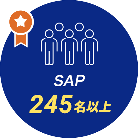 SAP 790件以上
