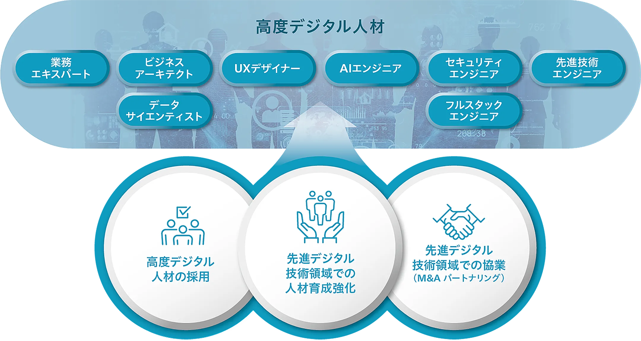 高度デジタル人材・協業パートナーの強化・拡充